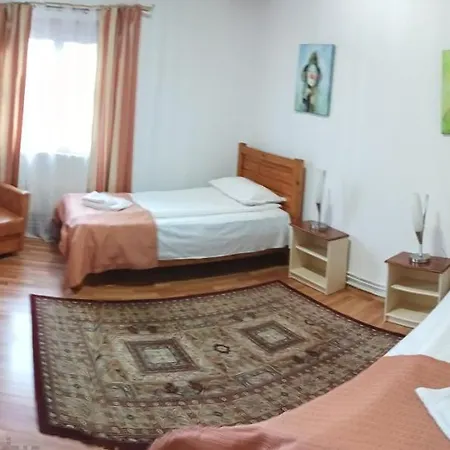 Pensiune Pensiunea Ara Alba Iulia